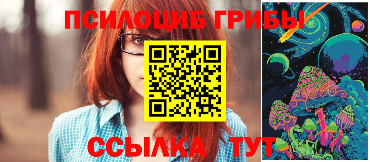 Галлюциногенные грибы Psilocybine cubensis Шали